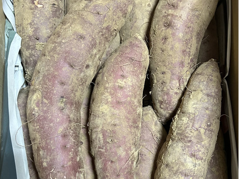 《熟成1ヶ月超えでお届け！》紅はるか（5kg）(茨城県産)・(サツマイモ)(Ⅿ～２Lサイズ)(土付き)