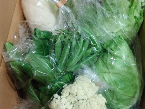 【初回限定BOX】使いやすいお野菜セット※おススメレシピ付き‼