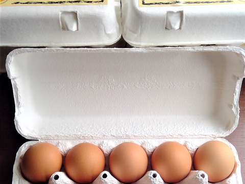 1日1セット限定!!国産鶏種もみじの新鮮たまご90個(1パック割れ保障)