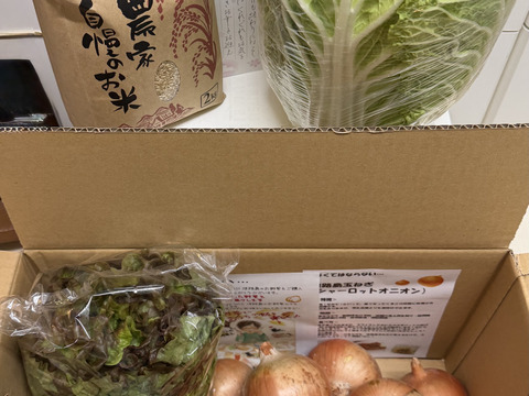 【福袋】玉ねぎ4kg🧅とキヌヒカリ白米2kgその他葉物野菜など3種類以上の野菜セット