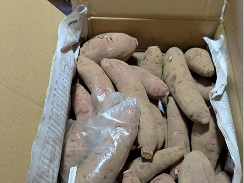 糖度60度越えねっとり系代表❣️千葉県香取市産　S・Mさつまいも極甘！ 【紅はるか】4.8kg