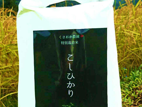 【新米】【玄米5㎏】一粒一粒に甘みのぎゅっとつまった 特別栽培コシヒカリ 令和2年度産
