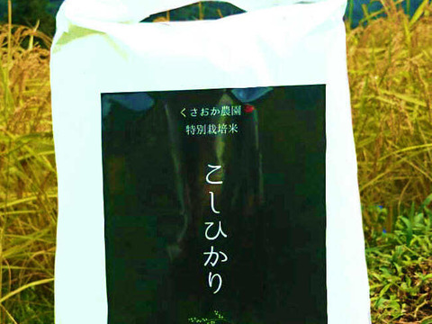 【玄米10㎏】【令和3年度産】特別栽培コシヒカリ　余呉産