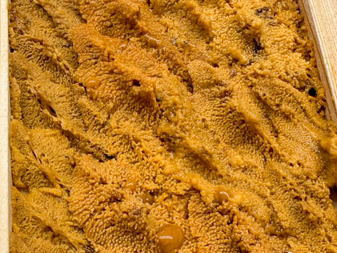 【入手困難】由良の黒ウニ/淡路島/本州ウニの最高峰【並】【4/13~4/14発送】