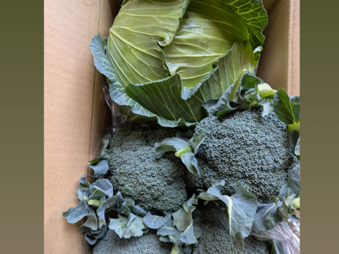 😊順ちゃんセット😊