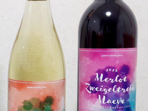 茨城県産　赤と白ワイン合計２本セット 2025年