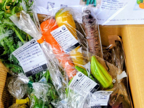 月・金曜発送】ココロ躍る🌈おまかせ野菜セット＊珍しいヨーロッパ野菜