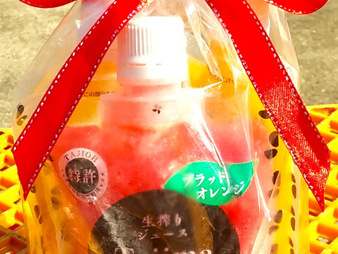 【母の日ギフト、冷凍ジュース】　クレメンティン・ブラッドオレンジ・ポンカンの完熟生絞り冷凍ジュース150㎖　３個セット