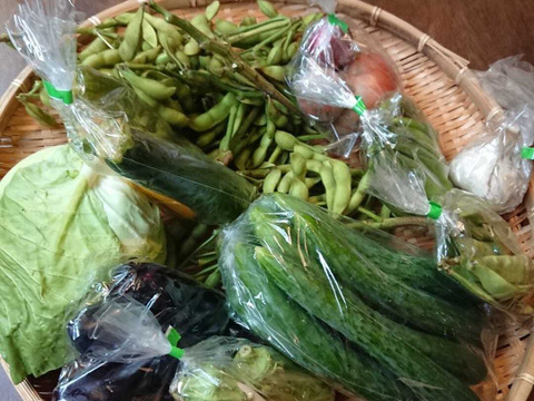 【夏ギフト】おー！カラフル！納涼★お祭りセット！カラフル野菜で猛暑払い！
～農薬/化学肥料・不使用