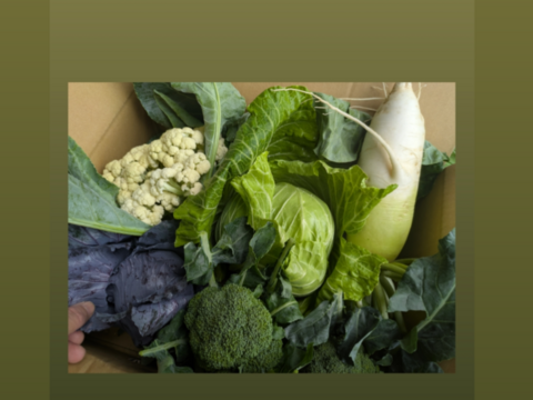 🎃🍁秋の野菜セット🍁🎃