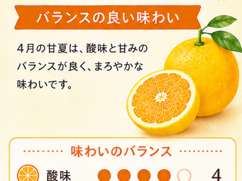 雨夏ジュース 「旬の移ろい”飲み比べセット」3月・4月搾り 720ml×2本