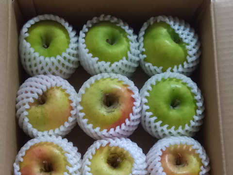 🍏売り尽くし🍏黄色りんご「もったいない」レスキュー便　【規格外品】３Kg　９個から１５個入り