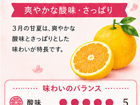 雨夏ジュース 「旬の移ろい”飲み比べセット」3月・4月搾り 720ml×2本