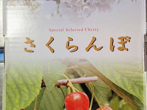 紅秀峰ギフト用