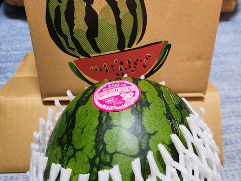 尾花沢小玉スイカ甘い ピノガール 2~3L 1玉 2.5kg前後 山形産：山形県