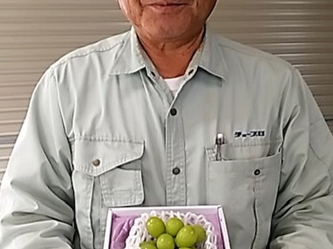 話題のシャインマスカット甘い(1房)