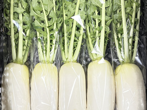 【京都府産】旬のこだわり野菜セット　Sサイズ（５品）