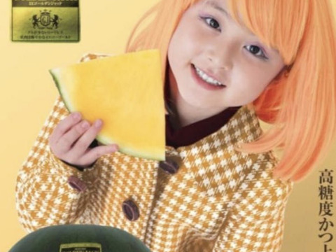 予約商品販売開始！7月6日頃から発送種無し西瓜ゴールデンジャックスイカ2Lサイズ1玉