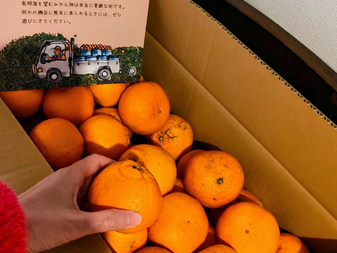 食べきりサイズ　肥の豊　4kg