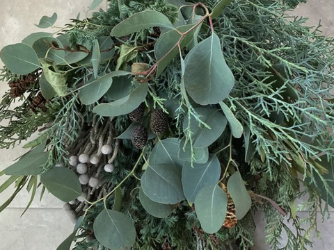 ✴︎スワッグにいかが？ユーカリ２種のボリュームセット✴︎