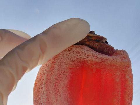 干し柿の最高峰！甲州百目柿『枯露柿』2号箱12個入