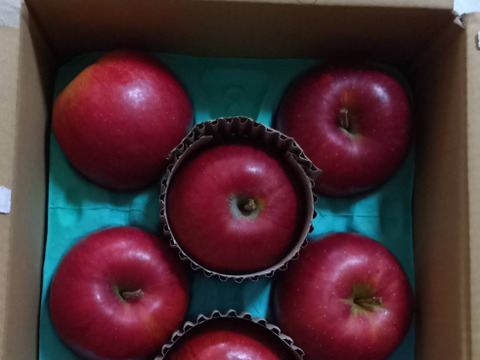 【シナノスイート】（2kg・6～9個入り）シャリ甘・ジューシーお得な家庭用