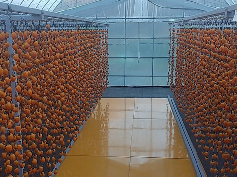 もち肌市田柿セット　(170gパック×2,化粧箱700g)　　干し柿　お得セット　限定品