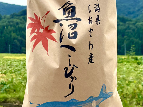 魚沼産コシヒカリ　30キロ　塩沢　新米 楽天市場】塩沢 コシヒカリ 30kgの通販