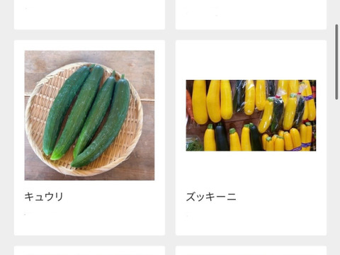 【常温便】農薬化学肥料一切不使用の野菜7品目+おまけ詰め合わせセット　岐阜県加茂郡白川町黒川むらざと自然農園　自然豊かな環境の中で育ったお野菜をぜひお試しください♪