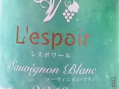 【数量限定】長野県産　白ワイン　レスポワール　ソーヴィニヨンブラン2019　2本セット