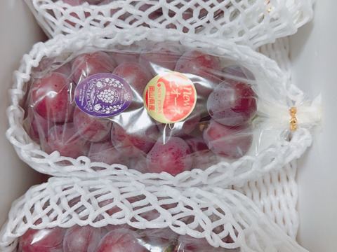 これで最後！【食べチョクアワード 4年連続受賞！】※ご贈答用　岡山の『ニューピオーネ』 3房～４房入り （2㎏前後 化粧箱入）