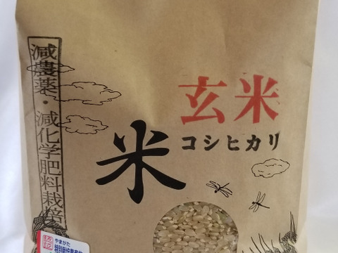 令和5年産　特別栽培米コシヒカリ　玄米2kg