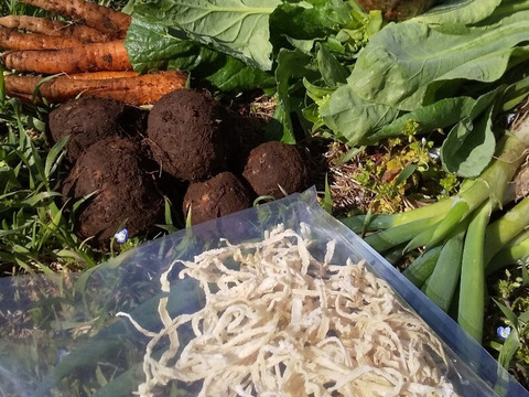 菜花シャキっと 脱プラ梱包【みどりの畑から野菜たちのセット】自然農の畑から、不耕起草生　草とともに台地の畑で２6年の積み重ね、種とり、農薬肥料不使用）