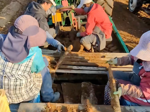 台所の定番3点セット🍲✨【カット長芋＋メークイン＋玉ねぎ】合計約5kg‼️