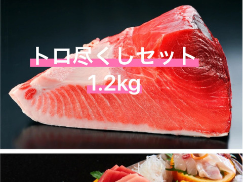 脂がキラリ! みやび鮪トロ尽くしセット(柵4本と2パック:約12人前)