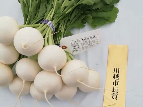 石井食品おまけ付　多数メディア出演！「彩の国のかぶ」約3kg　川越市品評会特別賞受賞