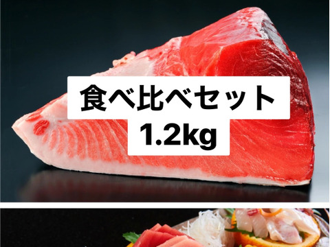 貴方のno1は みやび鮪食べ比べセット 柵6本 約12人前 熊本県産 食べチョク 農家 漁師の産直ネット通販 旬の食材を生産者直送 貴方のno1は みやび鮪食べ比べセット 柵6本 約12人前 熊本県産 食べチョク 農家 漁師の産直ネット通販 旬の食材を生産者直送