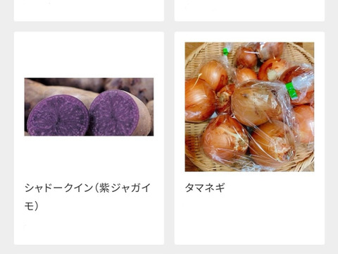 【常温便】農薬化学肥料一切不使用の野菜7品目+おまけ詰め合わせセット　岐阜県加茂郡白川町黒川むらざと自然農園　自然豊かな環境の中で育ったお野菜をぜひお試しください♪