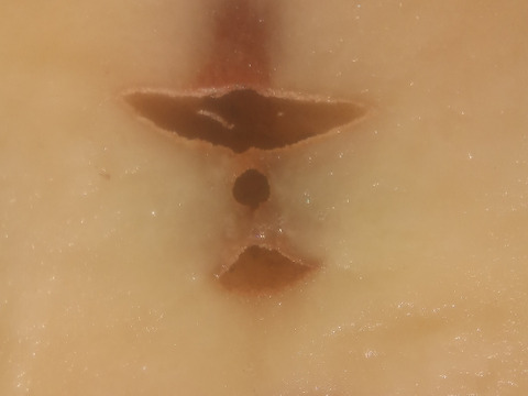 訳有品❗じゃがいも【さやあかね】大き過ぎ（3L以上）80サイズ　内容量4,7kg