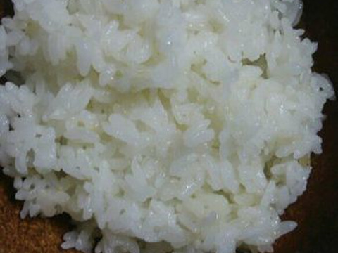 お試し「夢つくし」(白米500g) 農薬・除草剤不使用の特別栽培米（福岡エコ農産物認証）リンゴガイ農法で安全・安心・美味