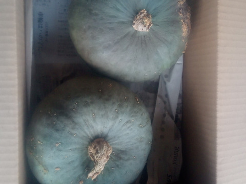 しっとりホクホクのかぼちゃ。（大）80サイズ、約4kg