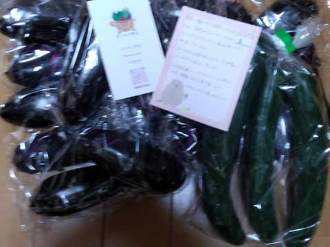 つやつや真っ黒！群馬の露路ナス（M〜Lサイズ、常温60サイズです。）