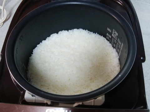 R3年産米売り尽くし！  冷たくきれいな水で育った「コシヒカリ」（白米10kg）