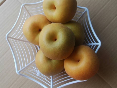 西洋梨ル レクチエ収穫します　最北の梨　あきづき　ありがとうございました。５ｋｇ　１０玉  写真は、イメージです