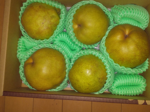 【早出し！100箱限定】 食べ頃ラフランス！ プロが食べ頃まで追熟！ 【 訳あり品 ラフランス！】 約2㎏ ご家庭用やおすそ分けに丁度いい！ R06-01-01