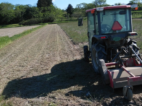 ７年産JAS有機栽培・自然乾燥ひとめぼれ玄米10ｋｇ