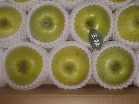 🍏芳醇な香り【王林】🍏１０～１２玉 約３キロ  商品ID118229