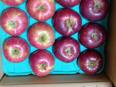 季節のリンゴ食べくらべ（約5㎏）特選　10～20玉
シナノスイートなど、季節のりんごを２種類からお届け