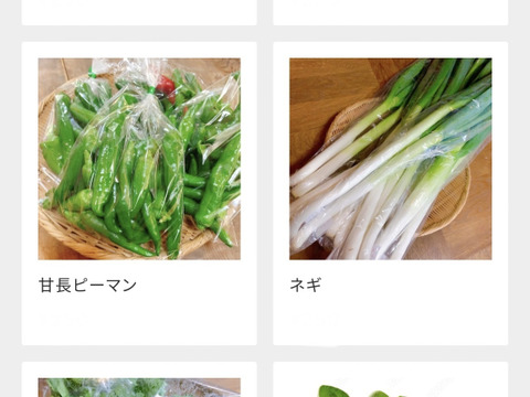 農薬化学肥料一切不使用の野菜7品目+おまけ詰め合わせセット　常温便　岐阜県加茂郡白川町黒川むらざと自然農園　自然豊かな環境の中で育ったお野菜をぜひお試しください♪