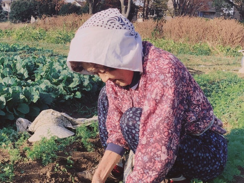 ウサちゃんの野菜🐰🐰🩷🩷🩷ばぁばのモノスゴイ野菜🐰🐰🌱🌱🌱人参の葉など盛りだくさん🥕🍌✨✨✨